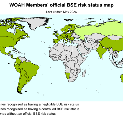 Bse World En