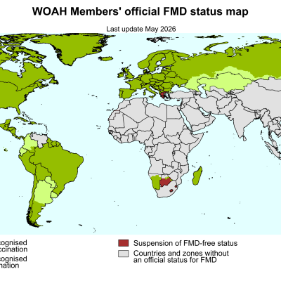 Fmd World En